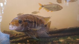 22258_66868b3aab0e0.jpg 1600X900 px