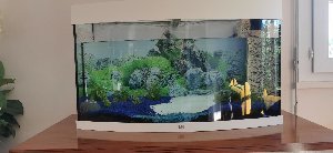 22272_66e8ca5c94d00.jpg 1600X737 px