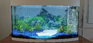 22272_66f7fd6c4ab5b.jpg 1600X737 px