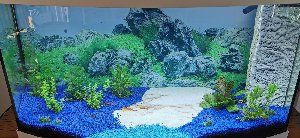 22272_66f7fd74924aa.jpg 1600X737 px