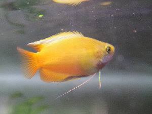 2258_5596aaacb62f0.jpg 800X600 px