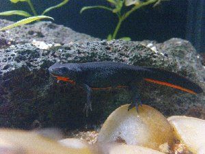 2305_4cb0c3ef832c6.jpg 300X225 px