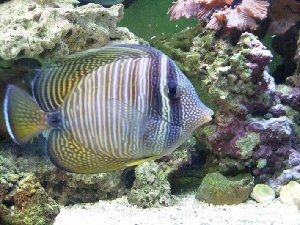 2532_4c0409d203914.jpg 300X225 px