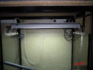 2532_4cdeb5bef281c.jpg 300X225 px