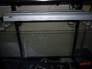 2532_4cdeb5cc31676.jpg 300X225 px