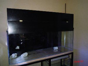 2532_4ce12e390d5a7.jpg 299X224 px