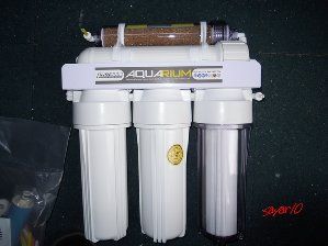 2532_4d0cea55511b3.jpg 299X224 px