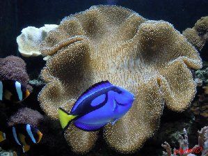 2532_4d5bee684d414.jpg 299X224 px