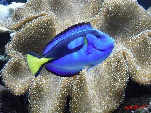 2532_4d5bee734635a.jpg 299X224 px