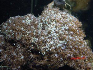 2532_4d7cf89b26134.jpg 299X224 px