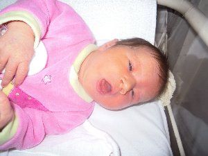 2532_4d9333aab7e45.jpg 300X225 px
