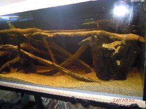 2532_51bdb20682fc2.jpg 300X225 px