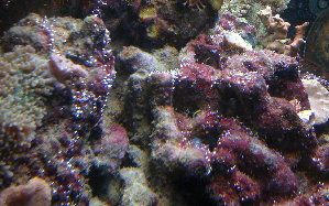 2852_4c23b05ecc0d9.jpg 1280X800 px