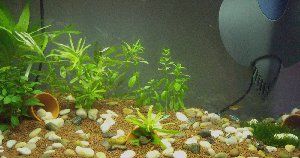 2984_4c83d54871e40.jpg 1280X674 px