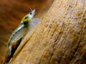 2_4f929bcfea6eb.jpg 300X225 px