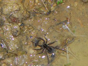 2_4fa8ecac42c1f.jpg 300X225 px