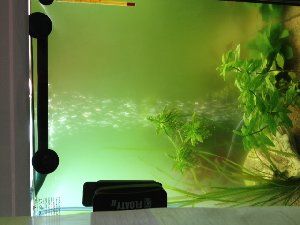 3063_517bf424d1c2d.jpg 300X225 px