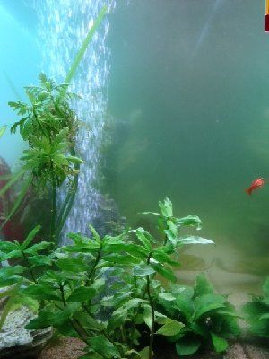 3063_51842b5e08e7d.jpg 320X427 px