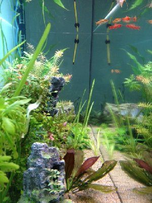 3063_519a894bddd6b.jpg 320X427 px