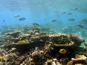 3311_4d0178ab8c1bc.jpg 300X225 px