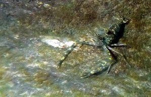 3311_4d087d0c9c14c.jpg 299X193 px