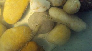 3385_4d8f2f49e3f7a.jpg 1280X720 px