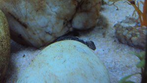 3385_4db26e43374b1.jpg 1280X720 px