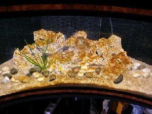 3566_4d68e4edabbc7.jpg 300X225 px