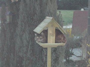 37_463f572f6ef85.jpg 300X225 px