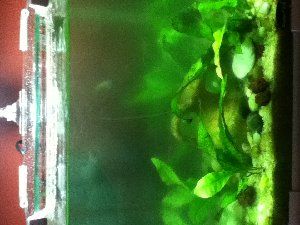 4078_4f789e56b0e8c.jpg 300X225 px