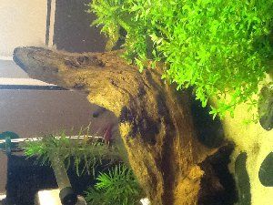 4563_544cbaf1d4dce.jpg 300X225 px