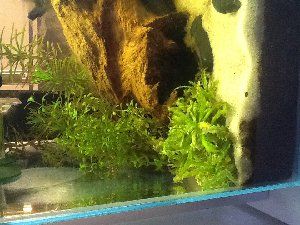 4563_544cbb0845c87.jpg 300X225 px