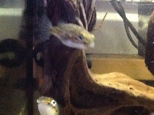 4973_52b6c1d88bea9.jpg 300X225 px