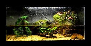 497_4d963b842bf01.jpg 300X151 px