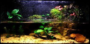 497_4d963c0d5de35.jpg 1280X627 px