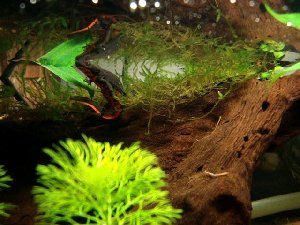 497_4d963e81a222b.jpg 300X225 px