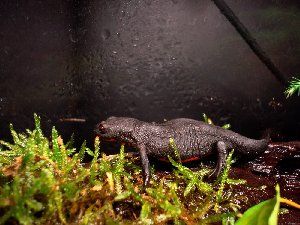497_4d9f6fa87104d.jpg 300X225 px