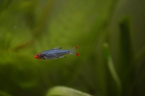 5106_5c8807976677e.jpg 1600X1060 px