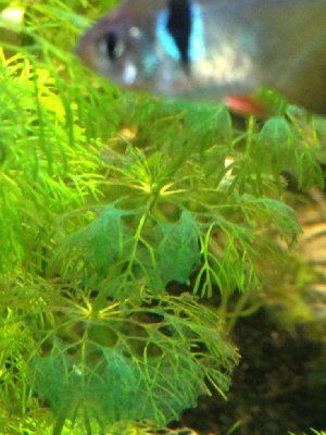 5367_510835130e796.jpg 320X427 px