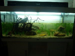 5610_5150cca7608e7.jpg 300X225 px