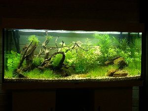 5610_51a864fcc5d7e.jpg 300X225 px