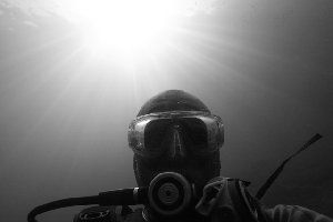 58_46e2909319b5f.jpg 300X200 px