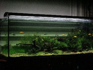 5940_5181d2f364535.jpg 1024X768 px
