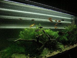 5940_5181d30de4dde.jpg 1024X768 px