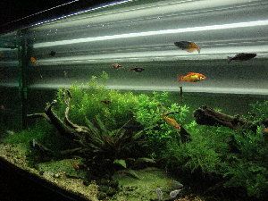 5940_5181d3262b464.jpg 1024X768 px
