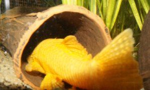 6100_53b2d14bc36d7.jpg 299X179 px
