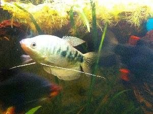 6235_55d9ce5b7d009.jpg 648X484 px