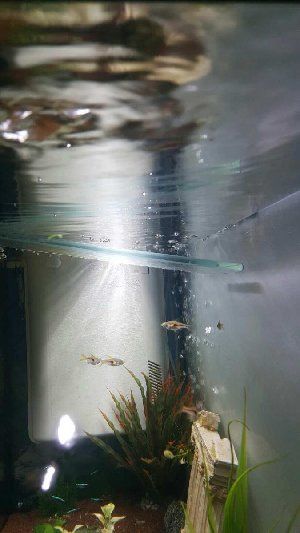 6522_58b47b4f4fca8.jpg 675X1200 px