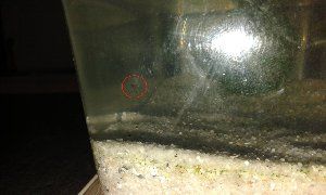 6639_5683ed5098ceb.jpg 1280X768 px