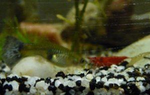 6714_52cd063b437a6.jpg 299X190 px